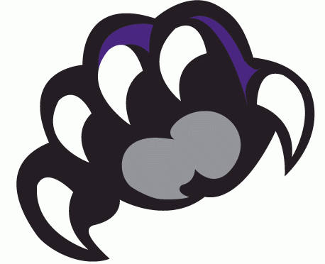 Weber State Wildcats 2012-Pres Secondary Logo iron on transfers for clothing